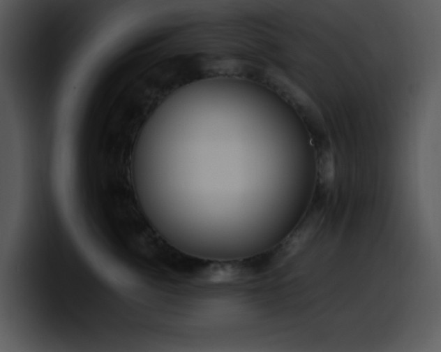 X0000100400764200806061316