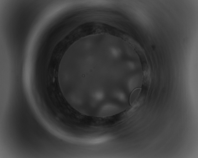 X0000100400765200806061316