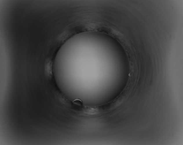 X0000100400768200806061316