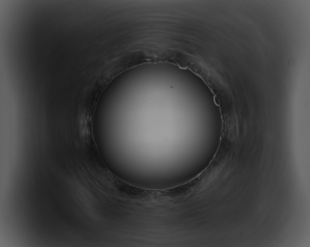 X0000100400770200806061315