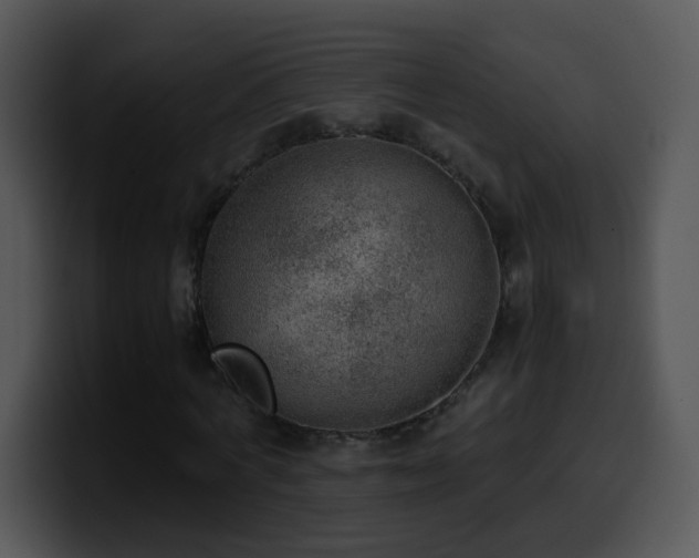 X0000100400772200806061315