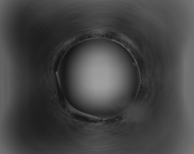 X0000100400773200806061315