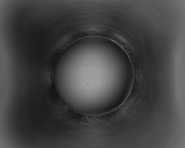 X0000100400774200806061315