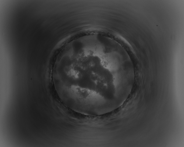X0000100400775200806061315
