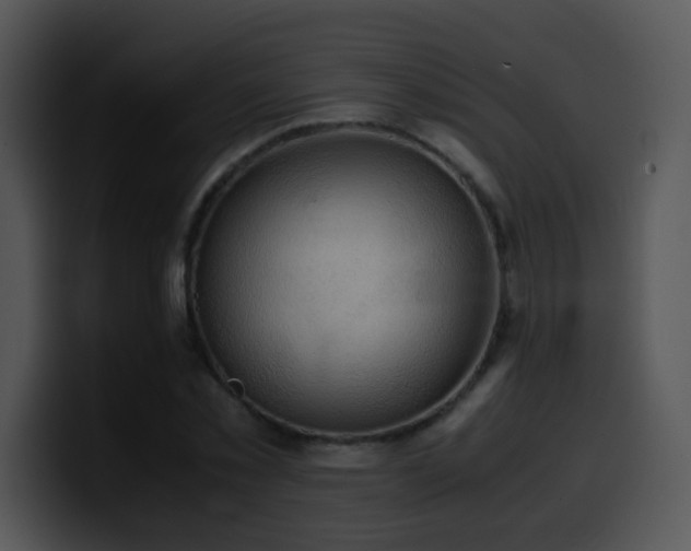 X0000100400781200806061315