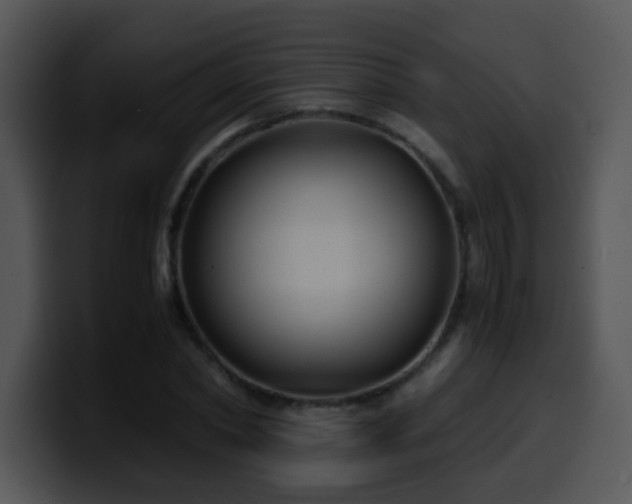 X0000100400782200806061315