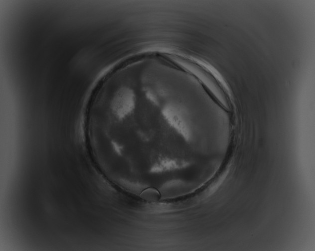 X0000100400783200806061315
