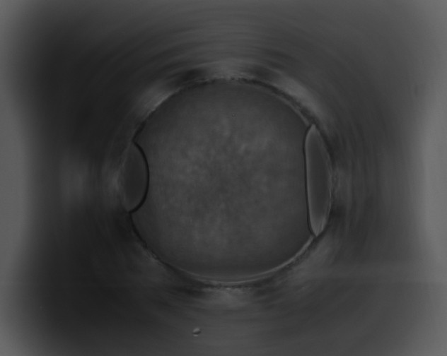X0000100400785200806061315