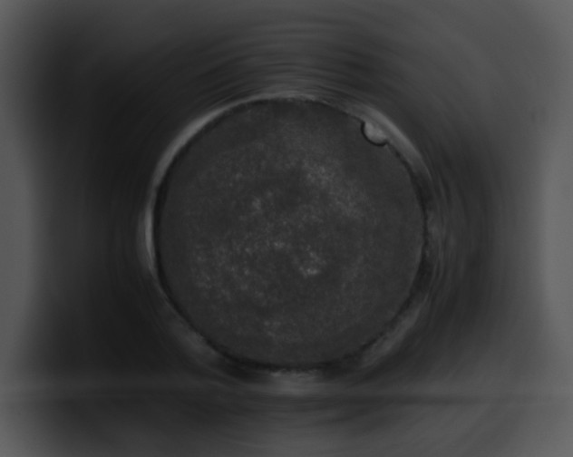 X0000100400788200806061315