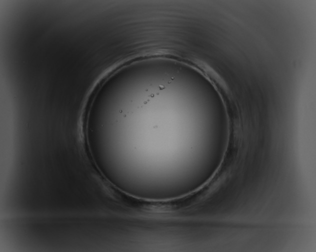 X0000100400789200806061315