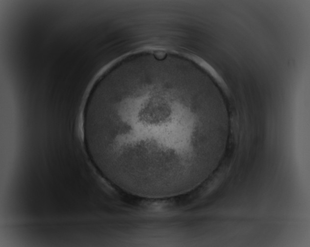 X0000100400791200806061315