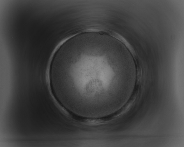 X0000100400795200806061315