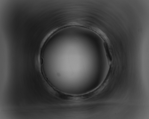 X0000100400796200806061315