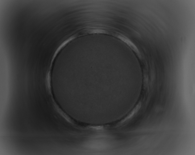 X0000100400798200806061315