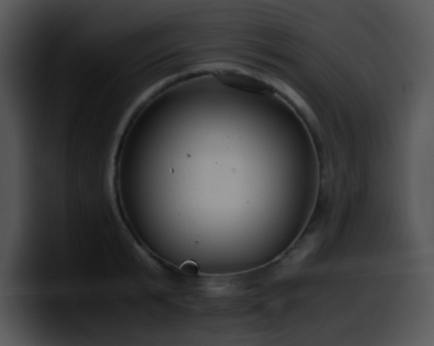 X0000100400799200806061315
