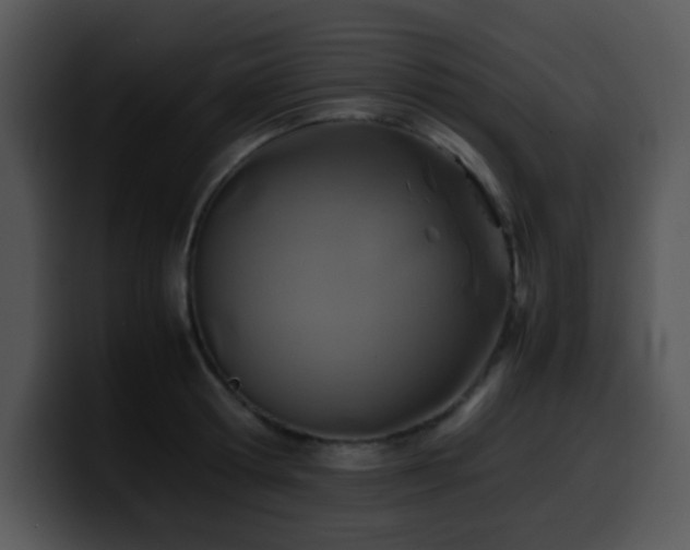 X0000100400802200806061315