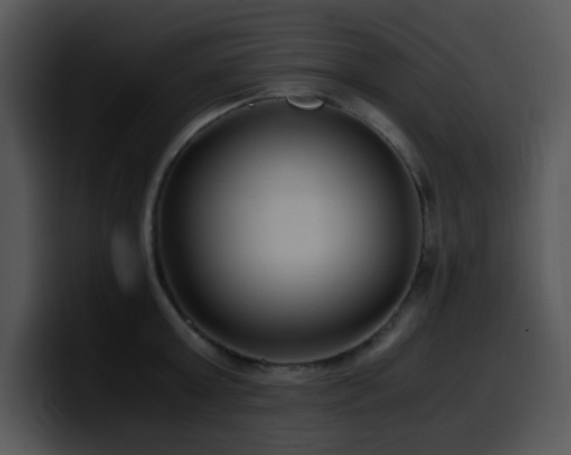 X0000100400803200806061315