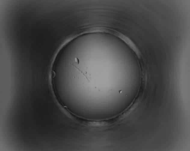X0000100400805200806061315
