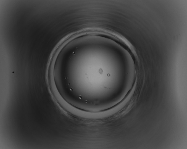 X0000100400807200806061315