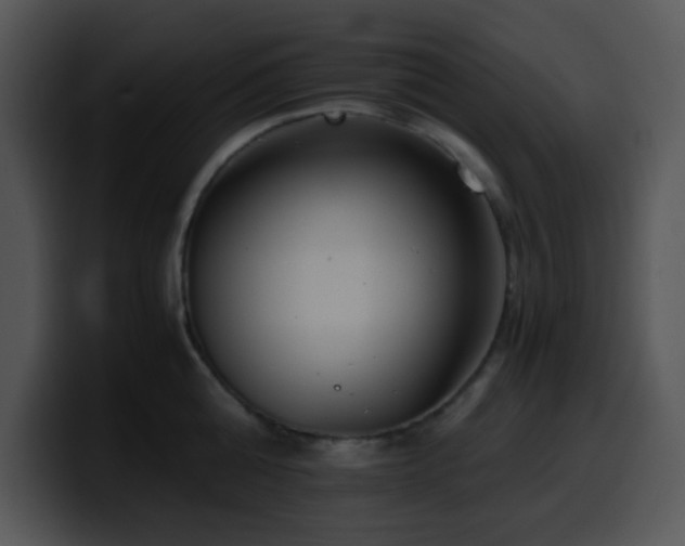 X0000100400808200806061315