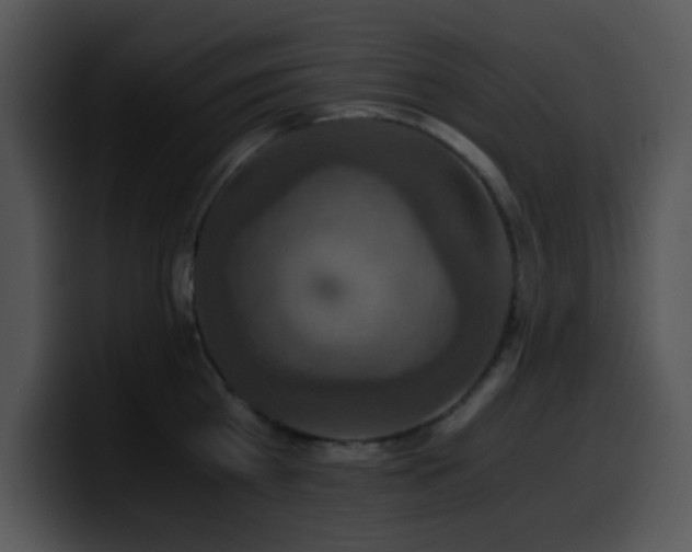 X0000100400809200806061315
