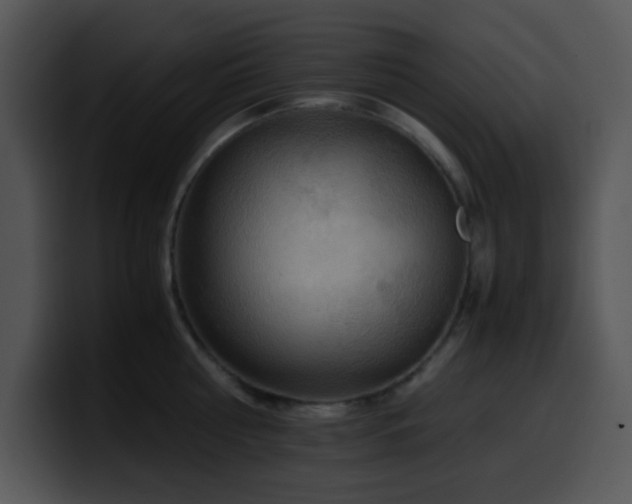 X0000100400810200806061315