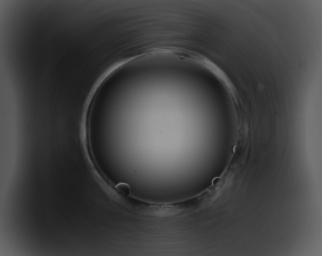 X0000100400811200806061315