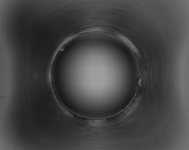 X0000100400813200806061315