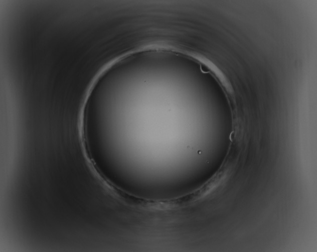 X0000100400815200806061315