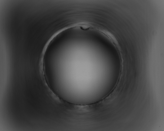 X0000100400816200806061315