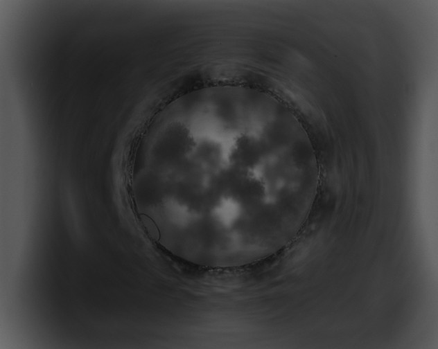 X0000100400817200806061314