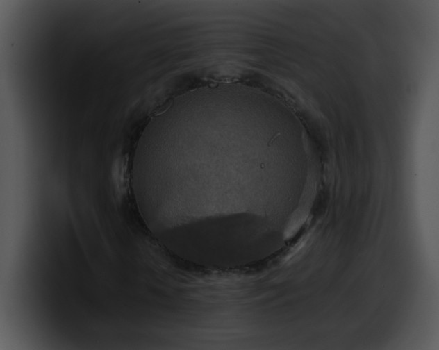 X0000100400818200806061314