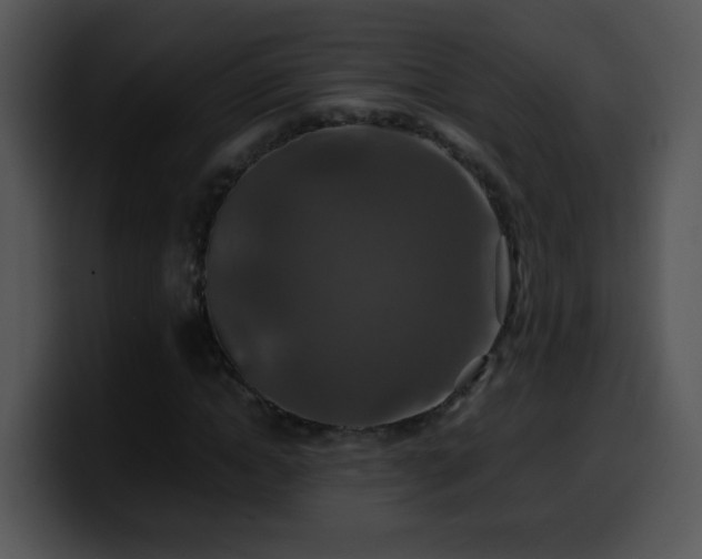 X0000100400822200806061314