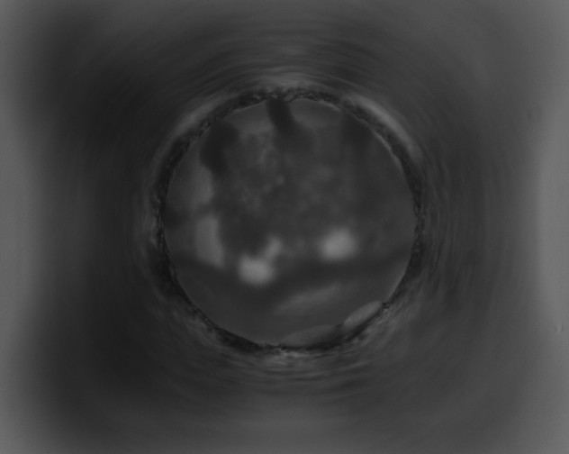 X0000100400823200806061314