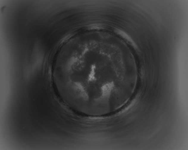 X0000100400825200806061314