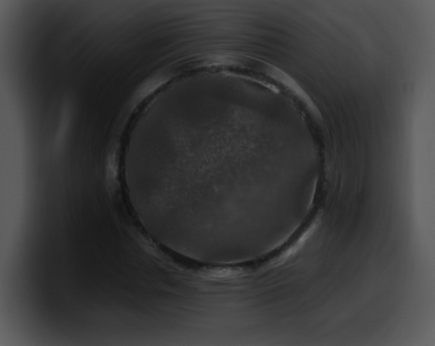 X0000100400826200806061314