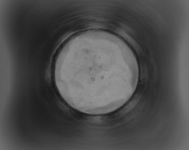 X0000100400828200806061314