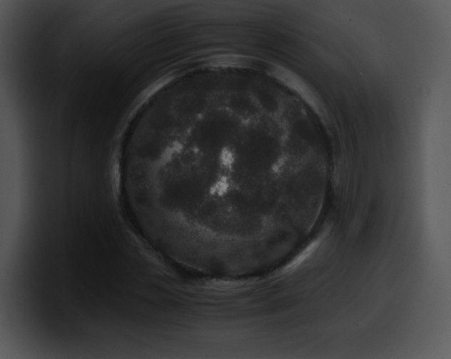 X0000100400829200806061314