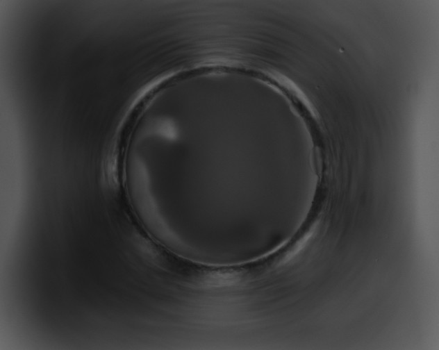 X0000100400830200806061314