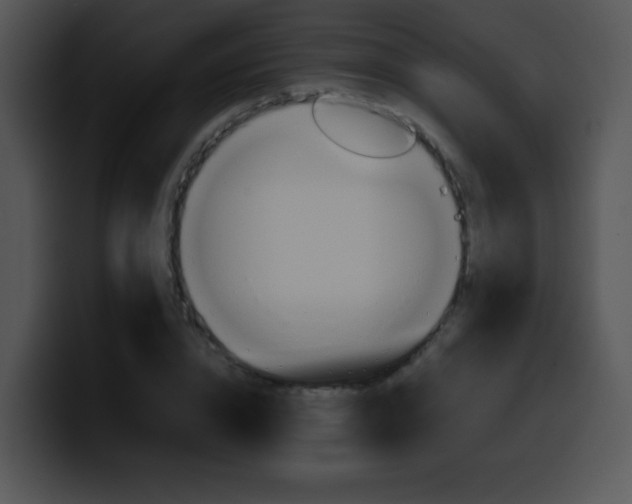 X0000100400832200806061314