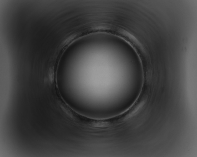 X0000100400833200806061314