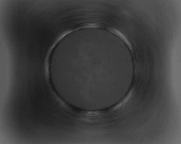 X0000100400835200806061314