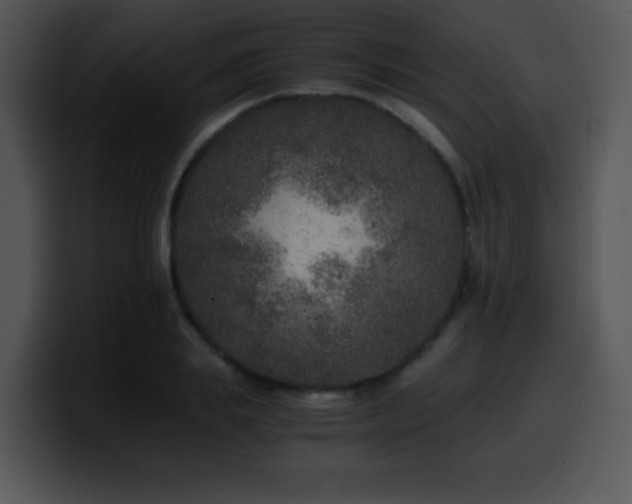 X0000100400839200806061314