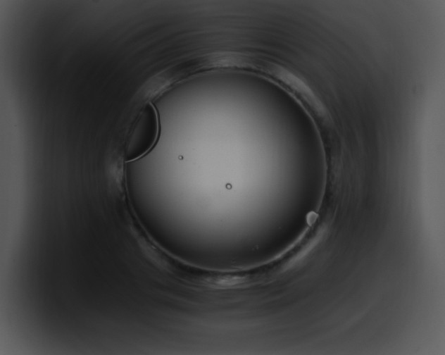 X0000100400841200806061314