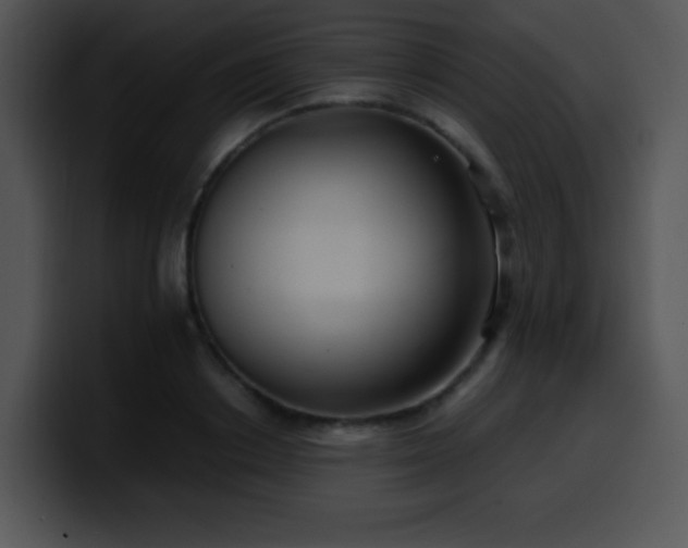 X0000100400842200806061314