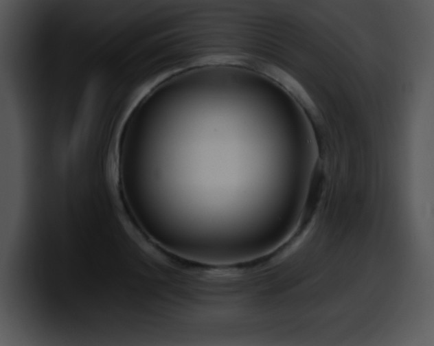 X0000100400844200806061314