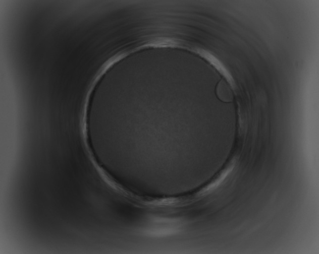 X0000100400845200806061314