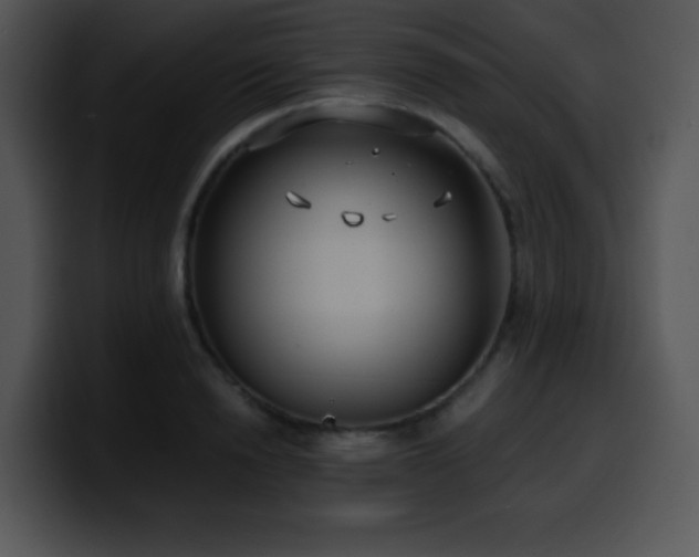 X0000100400846200806061314