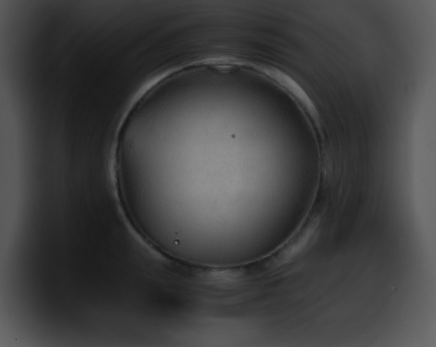 X0000100400847200806061314