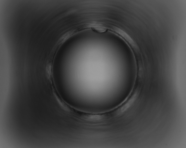 X0000100400849200806061314